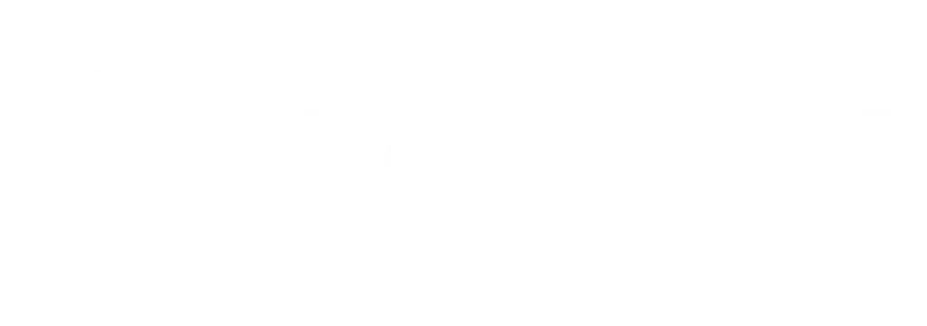 se optik